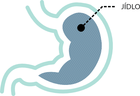 Image showing effect without glukomanan